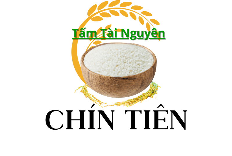 Tấm Tài Nguyên - Nguyên liệu hoàn hảo cho cơm tấm