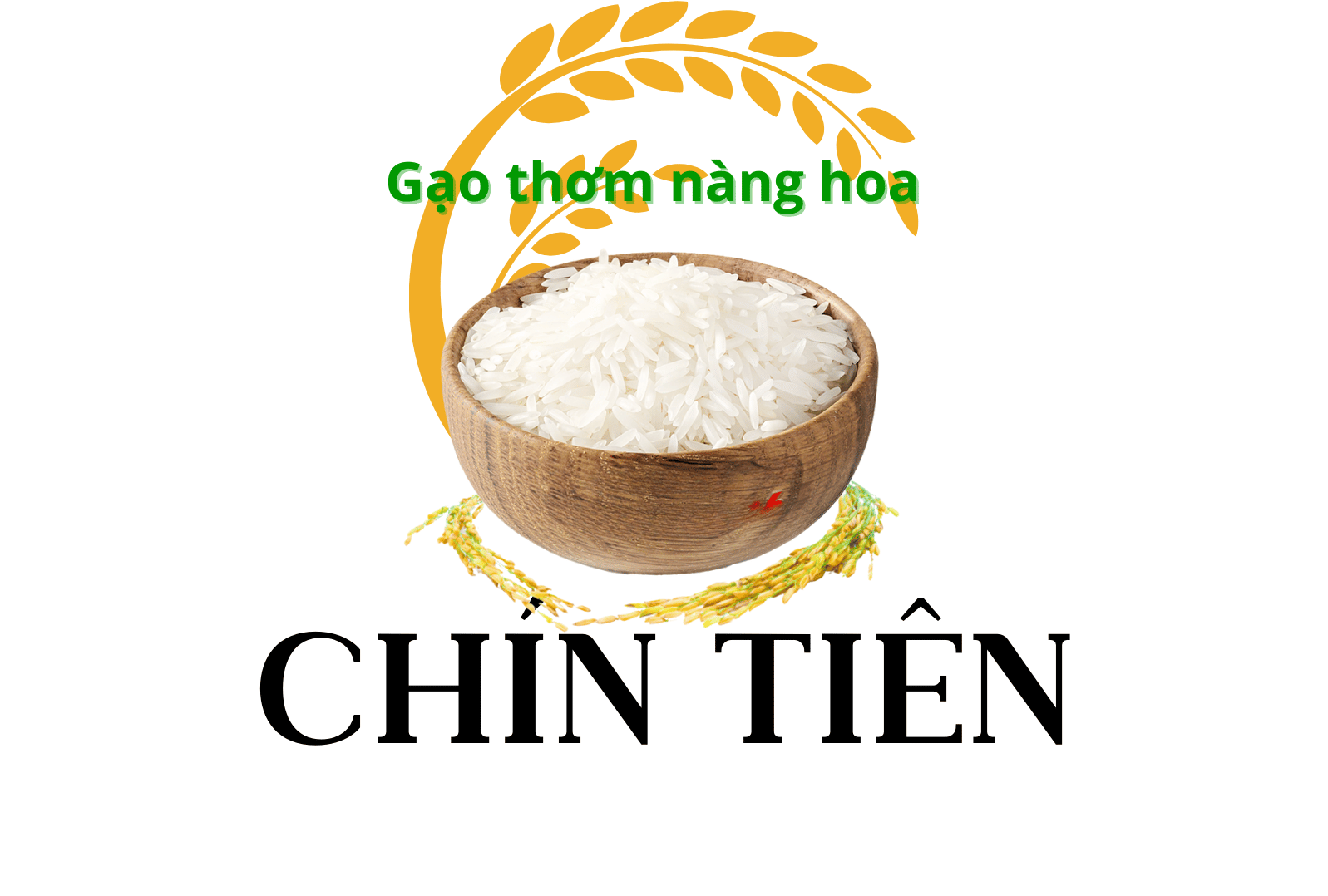 Gạo Nàng Hương Chợ Đào